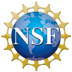 (NSF Logo)