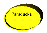 [Paraducks]